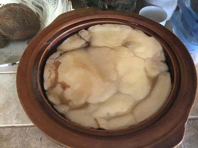 SCOBY Symbiotic Combination of Bacteria and Yeast